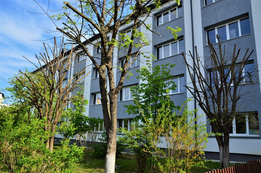 Liceul cu Program Sportiv Baia Mare