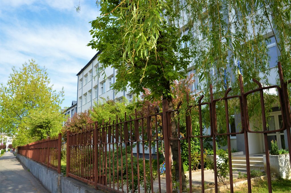 Liceul cu Program Sportiv Baia Mare